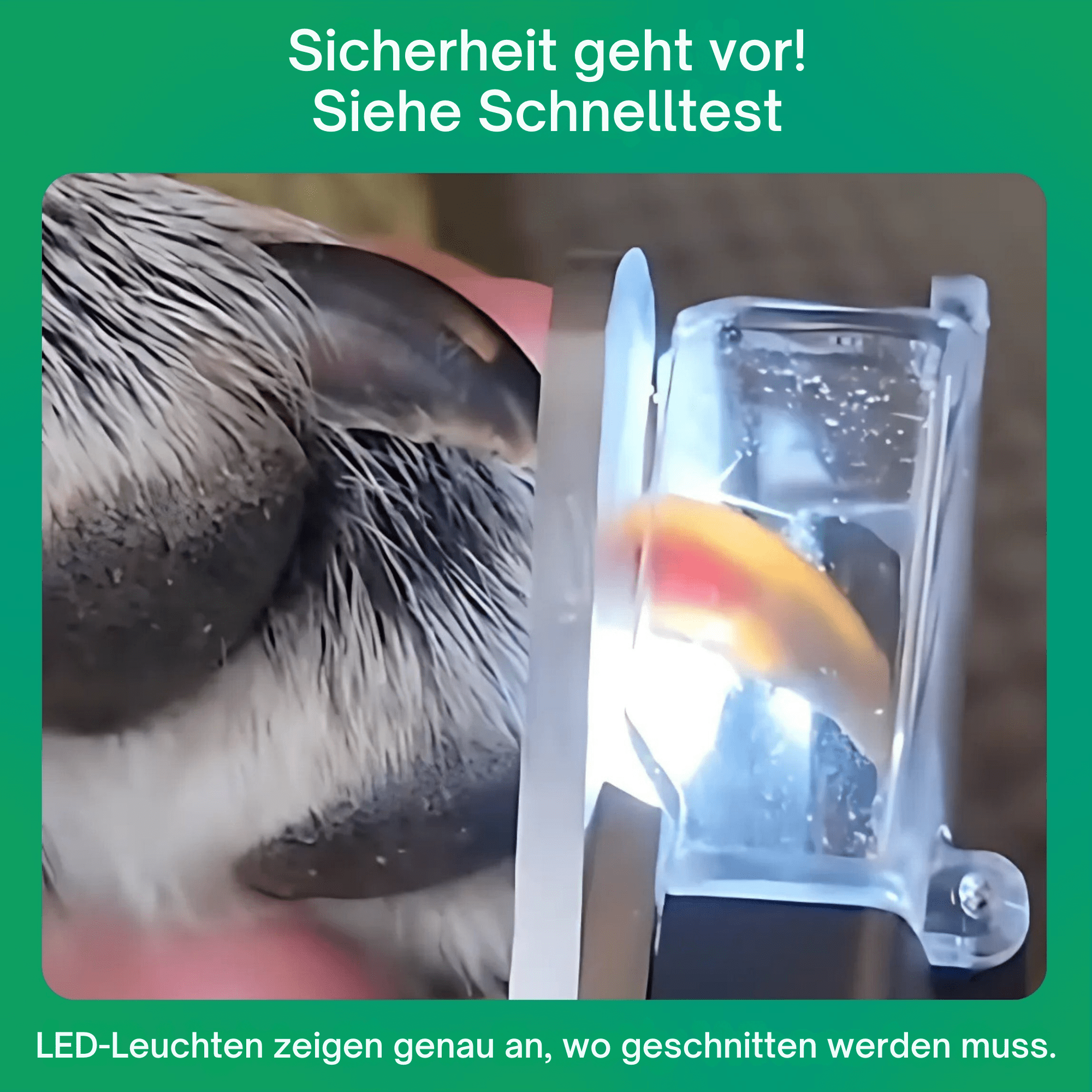 FellFeile™ / Angstfreies Nägelschneiden - Sopheria