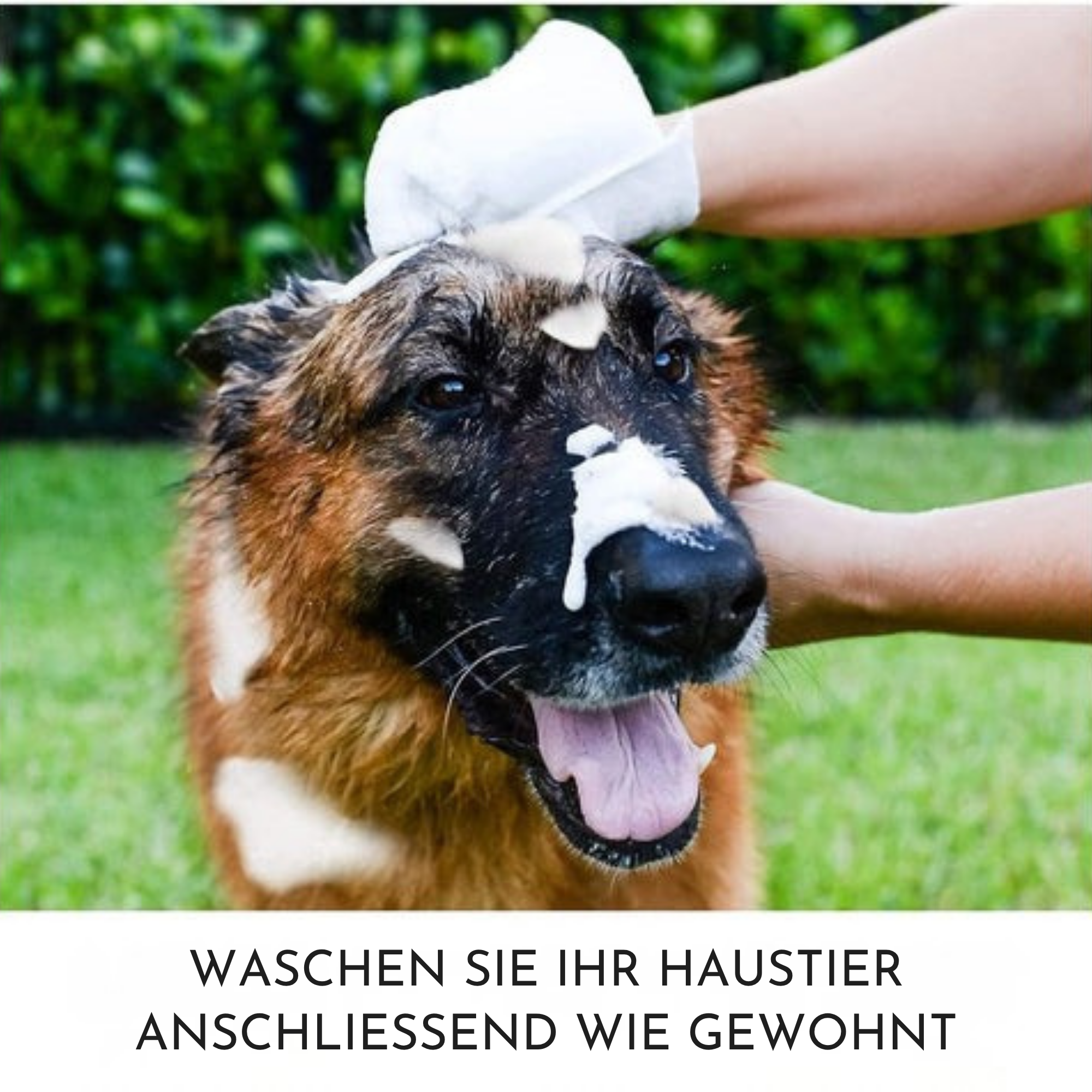 FellFrisch – Pflegehandschuh Reinigungstücher - Sopheria