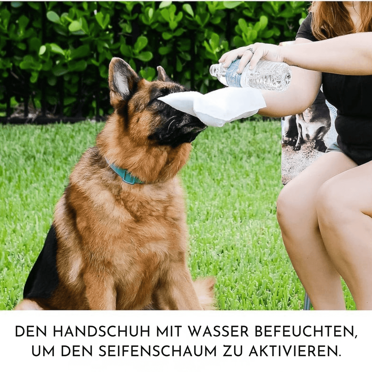 FellFrisch – Pflegehandschuh Reinigungstücher - Sopheria
