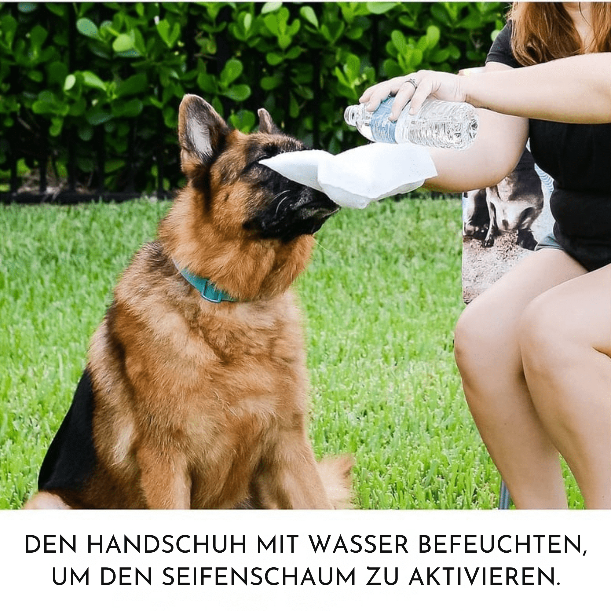 FellFrisch – Pflegehandschuh Reinigungstücher - Sopheria
