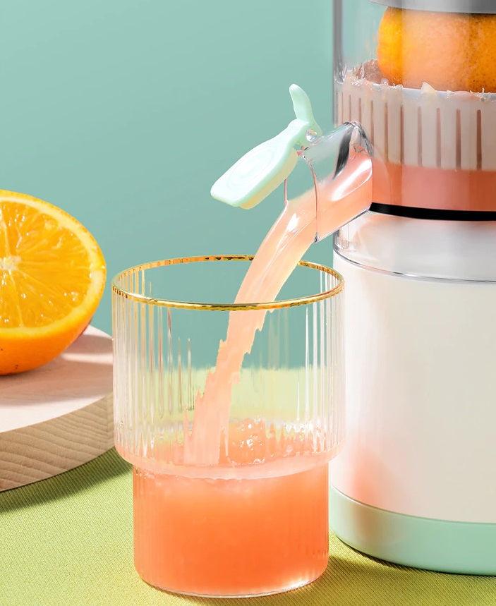 FruchtFlitzer™ / Für eine Welle an Frische im Glas - Sopheria