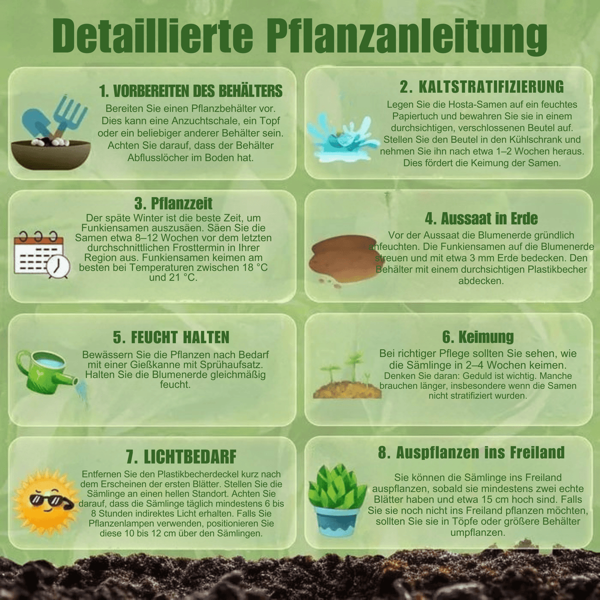 FrühlingsFlüstern™ / Stauden-Funkiensamen für beruhigende grüne Ecken - Sopheria