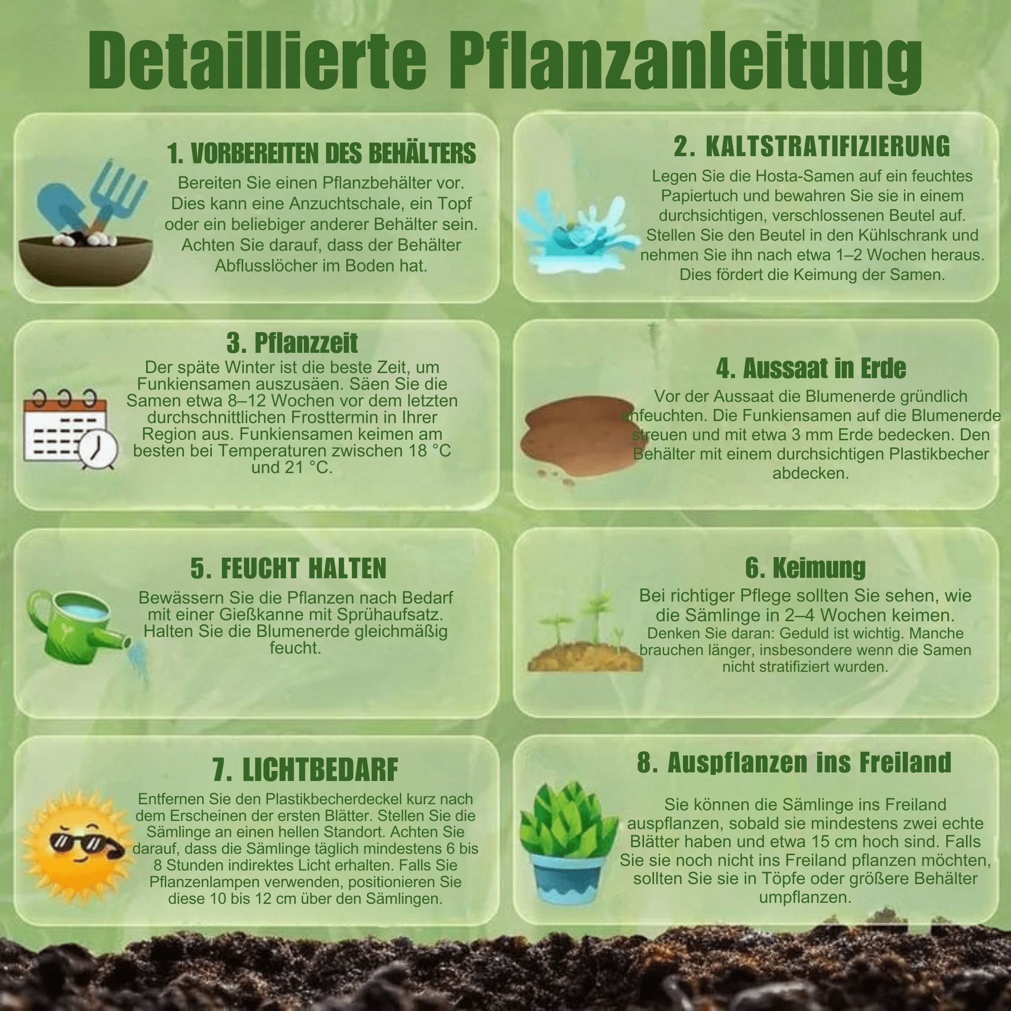 FrühlingsFlüstern™ / Stauden-Funkiensamen für beruhigende grüne Ecken - Sopheria