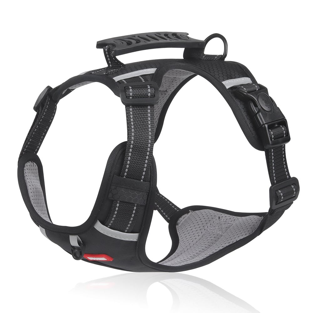 GassiGlück™ / Freiheit Und Komfort Für Ihren Hund! - Sopheria