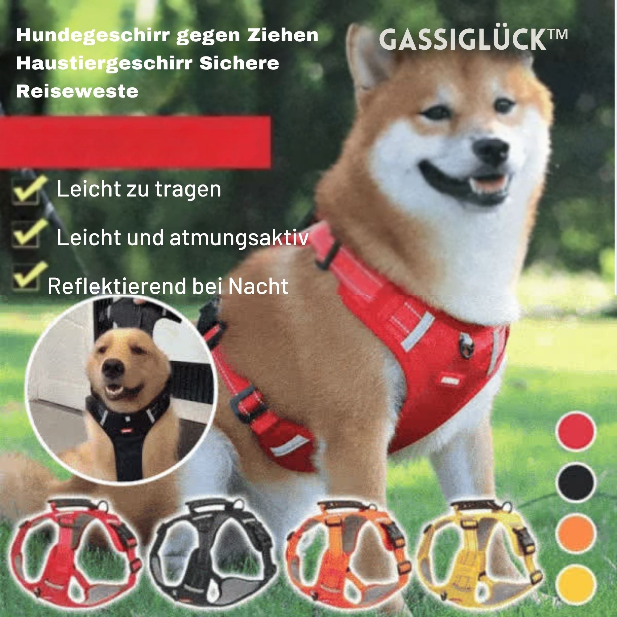 GassiGlück™ / Freiheit Und Komfort Für Ihren Hund! - Sopheria