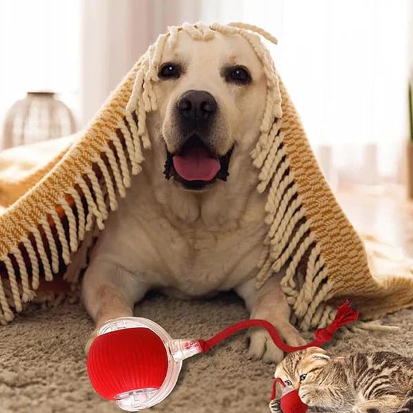 Glowpaws - LED Spielball für aktive Hunde & Katzen - Sopheria