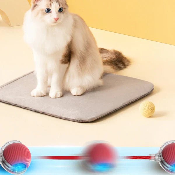 Glowpaws - LED Spielball für aktive Hunde & Katzen - Sopheria