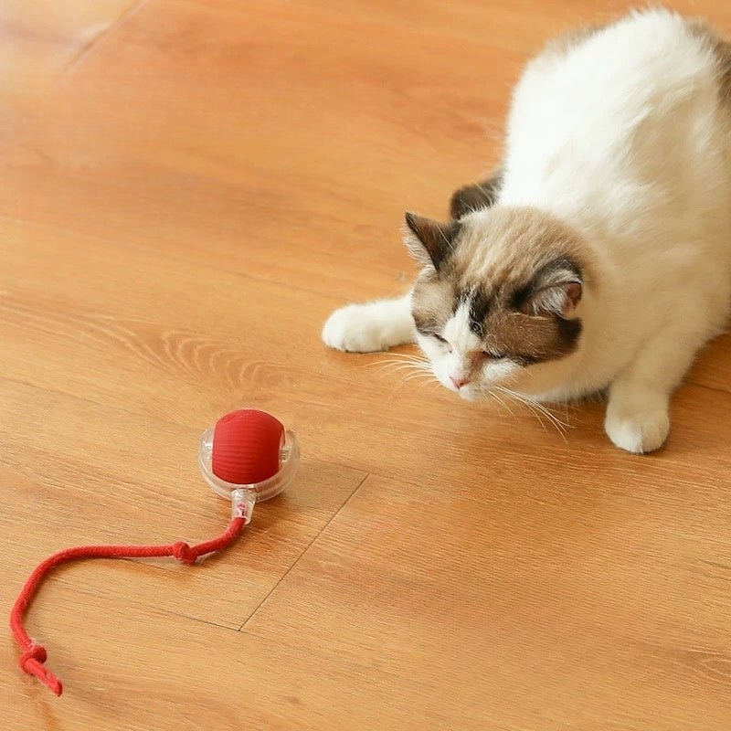 Glowpaws - LED Spielball für aktive Hunde & Katzen - Sopheria