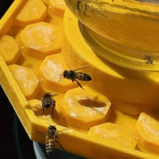 BienenBrunnen™ / Dekorativer Bienen Trinkplatz Für Gärten