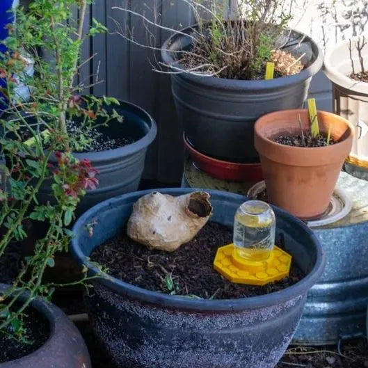 BienenBrunnen™ / Dekorativer Bienen Trinkplatz Für Gärten