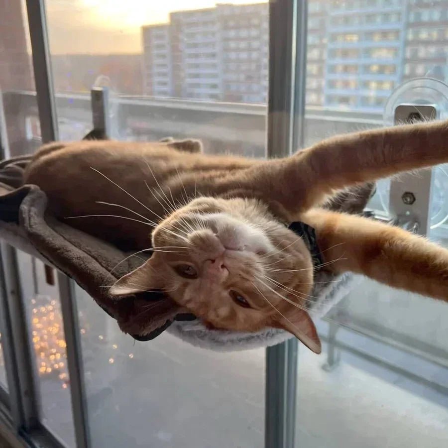 KatzenNest – Fenster Katzenhängematte - Sopheria