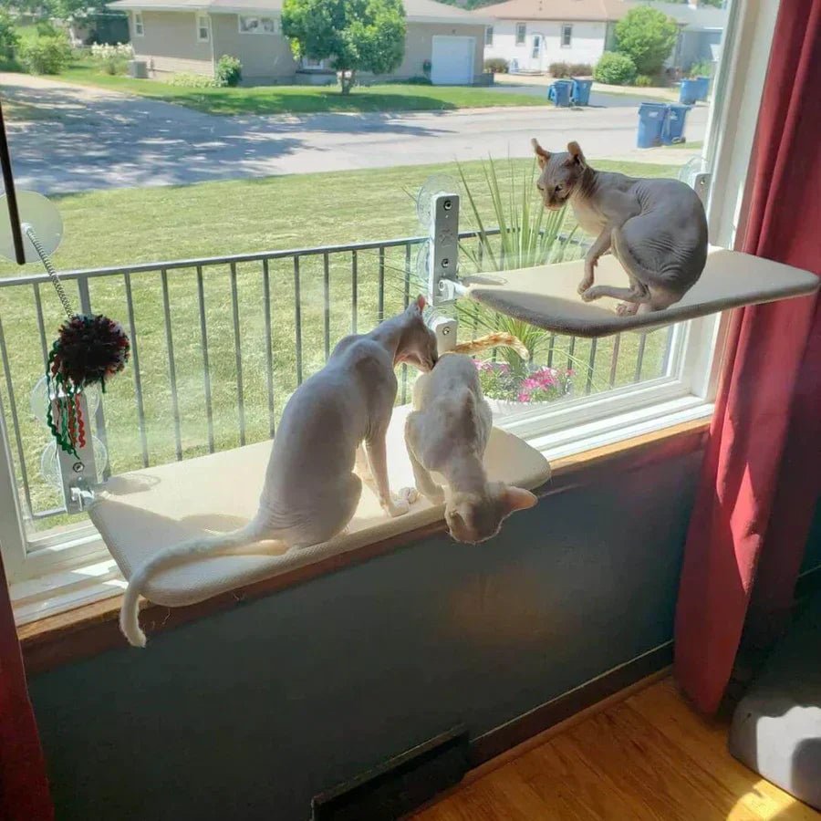 KatzenNest – Fenster Katzenhängematte - Sopheria