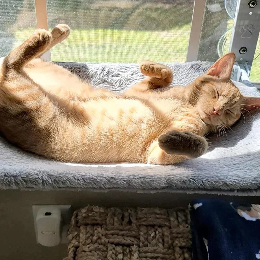 KatzenNest – Fenster Katzenhängematte - Sopheria
