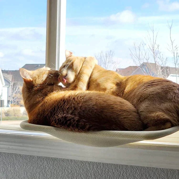 KatzenNest – Fenster Katzenhängematte - Sopheria