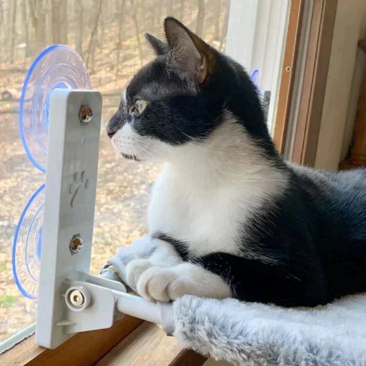 KatzenNest – Fenster Katzenhängematte - Sopheria