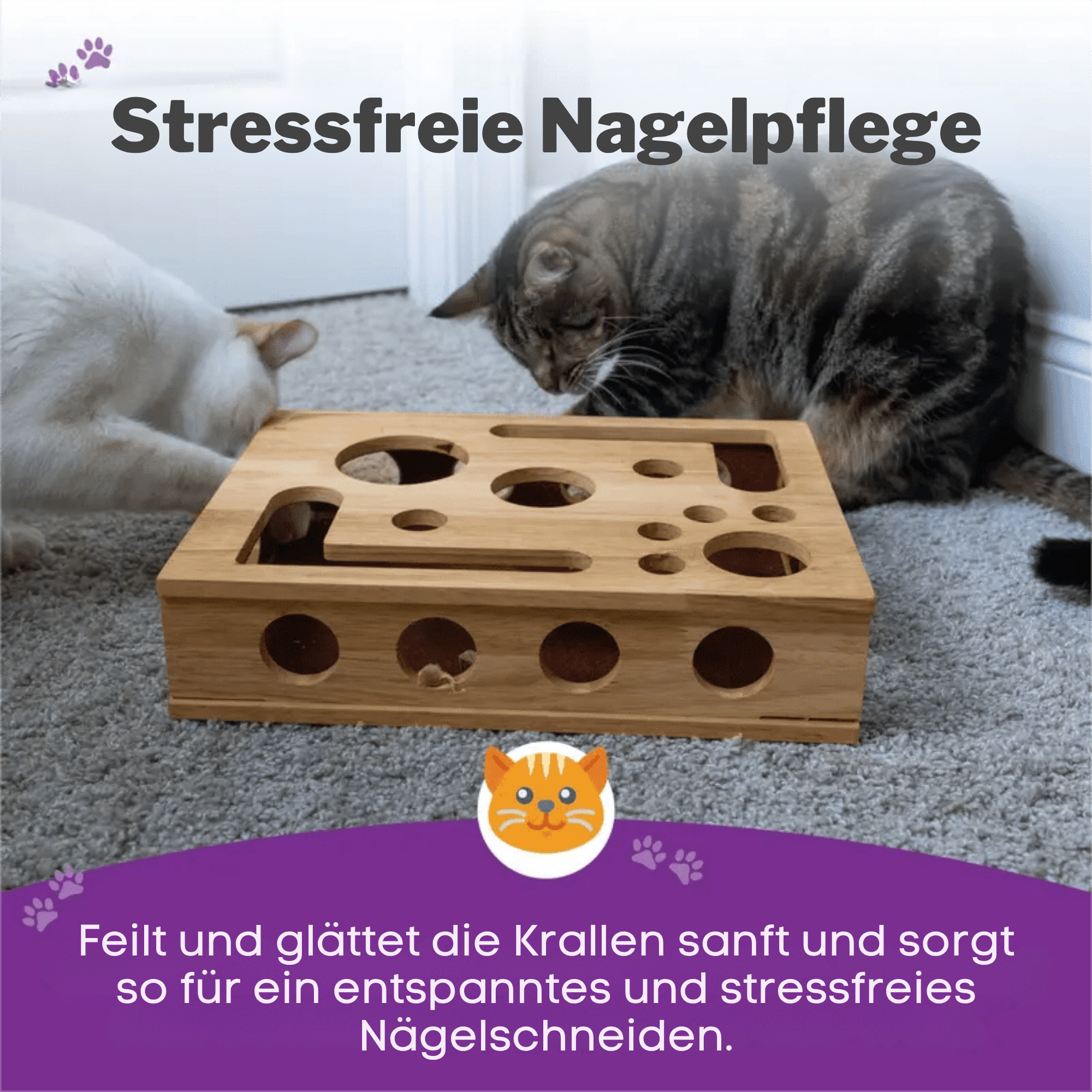 KatzenPuzzle – Kratzspielzeug mit Futterspiel - Sopheria