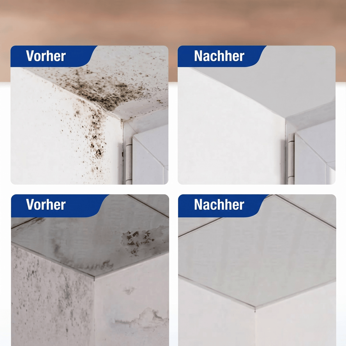 [Letzter Tag] Moldex – Schimmel-Entferner Schaum-Spray ohne Schrubben - Sopheria