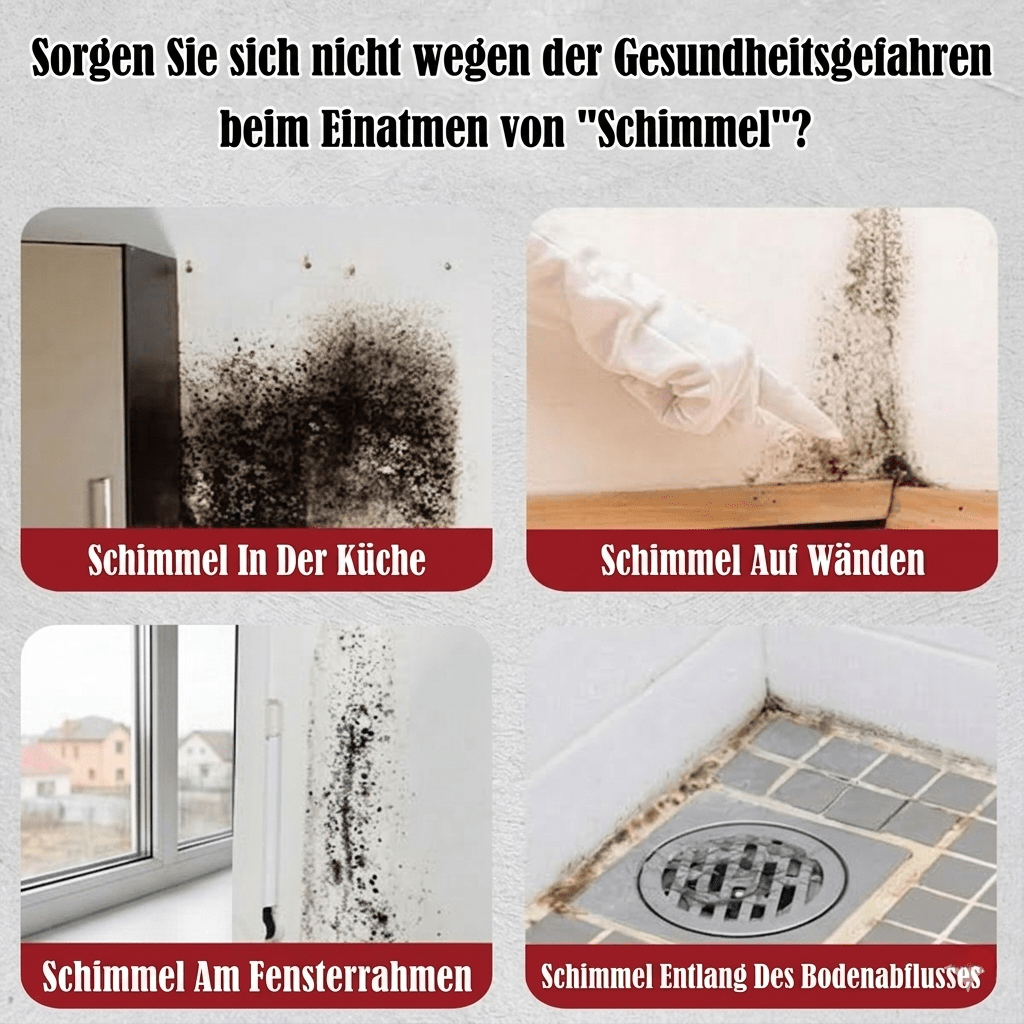 [Letzter Tag] Moldex – Schimmel-Entferner Schaum-Spray ohne Schrubben - Sopheria