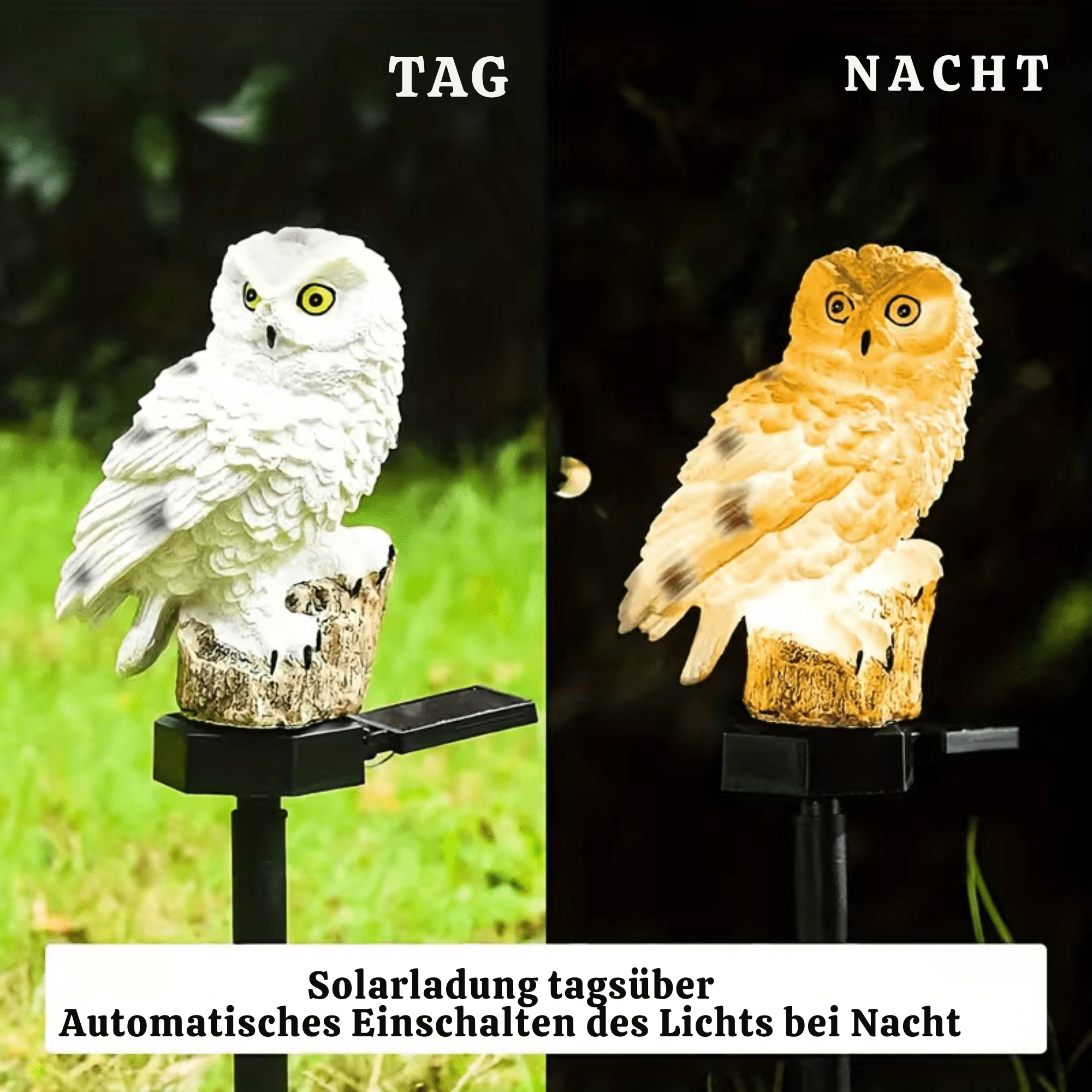 LichtLauer™ / Solarbetriebene Harz-LED-Eulenleuchte - Sopheria