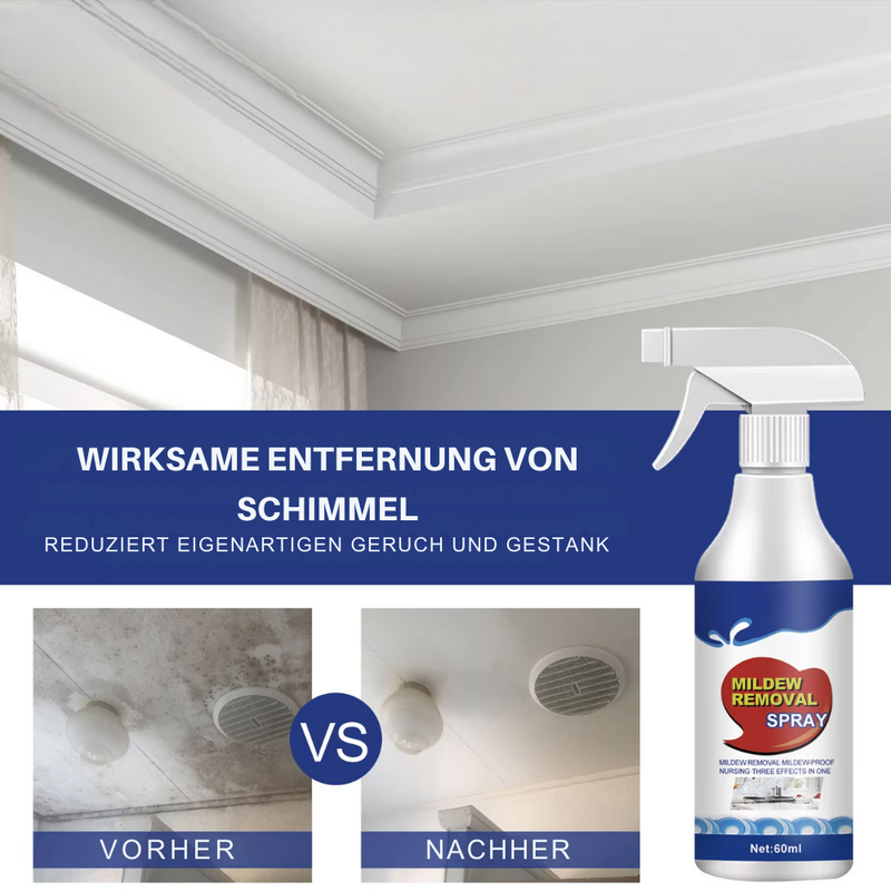 NoMold™ | Schimmelpilz-Entfernungsspray