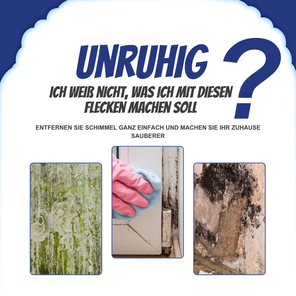 NoMold™ | Schimmelpilz-Entfernungsspray