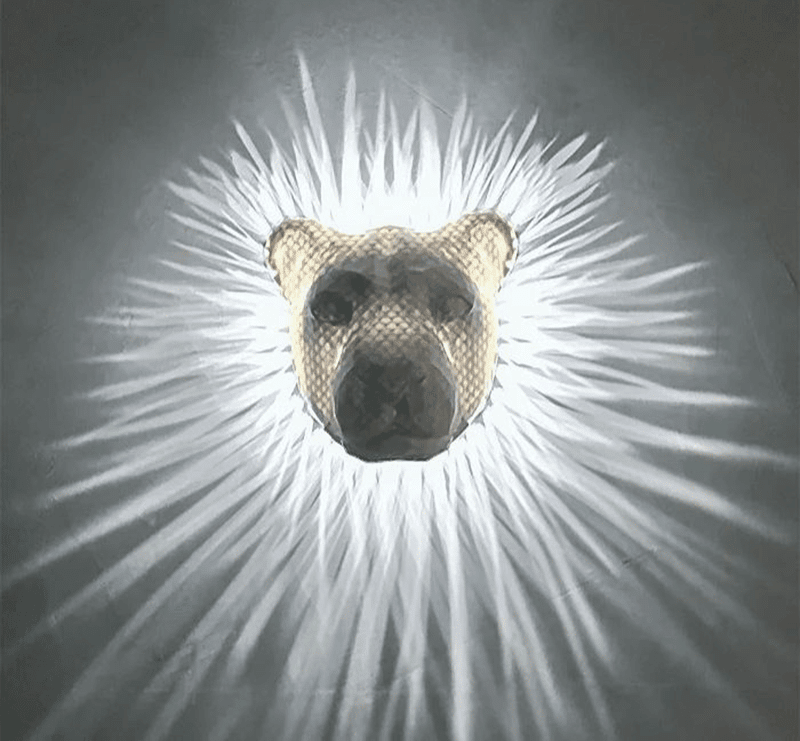 NachtNatur™ / 3D Tierdesign mit warmem Lichtschein - Sopheria