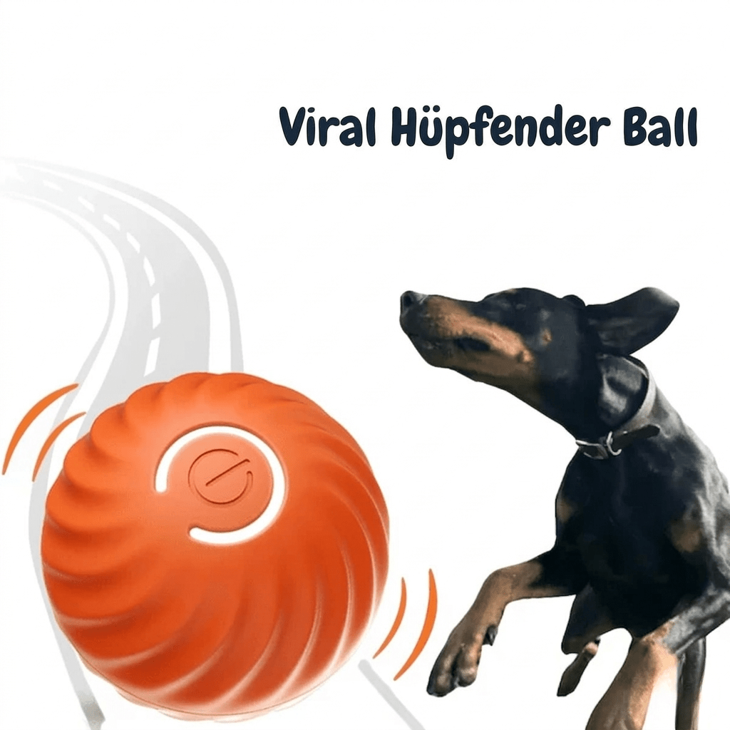 PfotenOrbit – Interaktiver Bewegungsball für Hunde - Sopheria