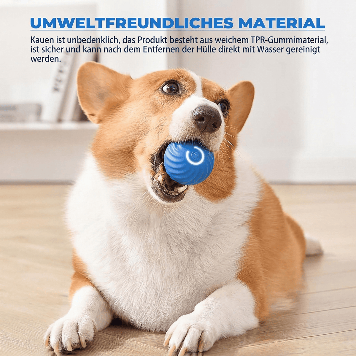 PfotenOrbit – Interaktiver Bewegungsball für Hunde - Sopheria