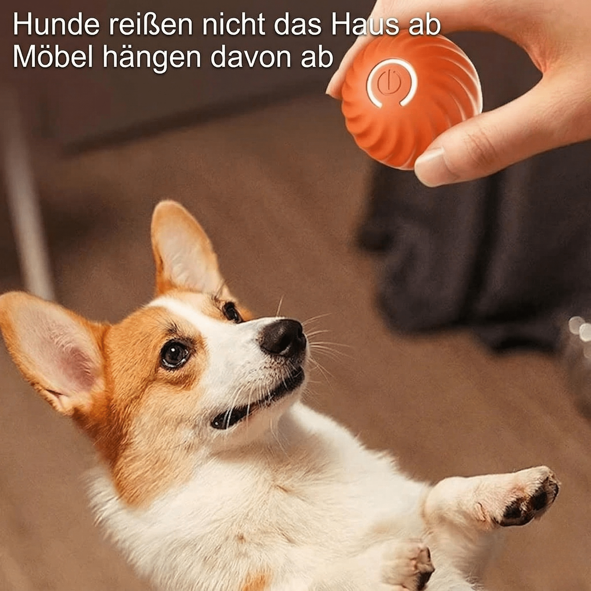 PfotenOrbit – Interaktiver Bewegungsball für Hunde - Sopheria