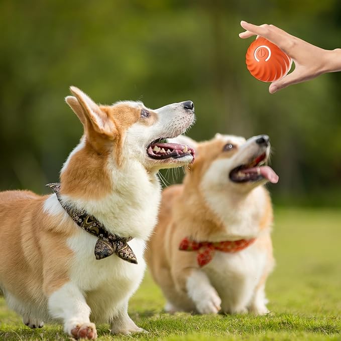 PfotenOrbit – Interaktiver Bewegungsball für Hunde - Sopheria