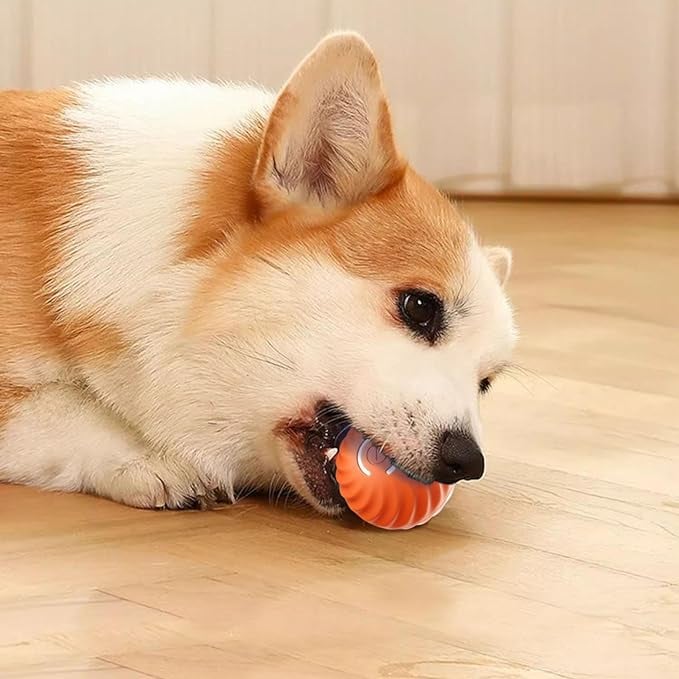 PfotenOrbit – Interaktiver Bewegungsball für Hunde - Sopheria