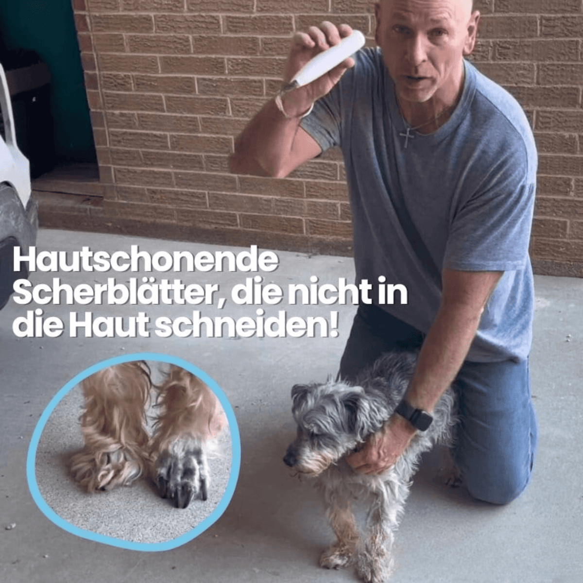 PfotenPflege™ / Schmerzfreie Pfotenpflege in Sekundenschnelle - Sopheria