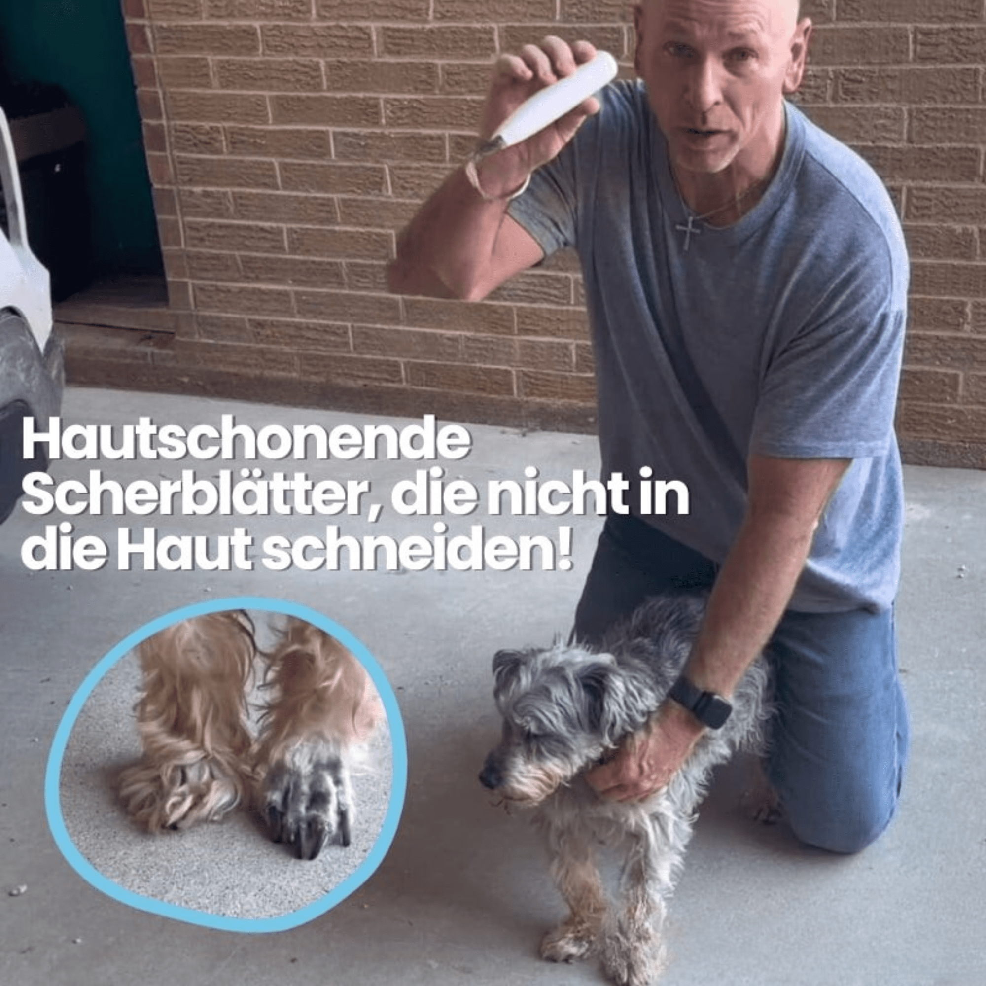 PfotenPflege™ / Schmerzfreie Pfotenpflege in Sekundenschnelle - Sopheria