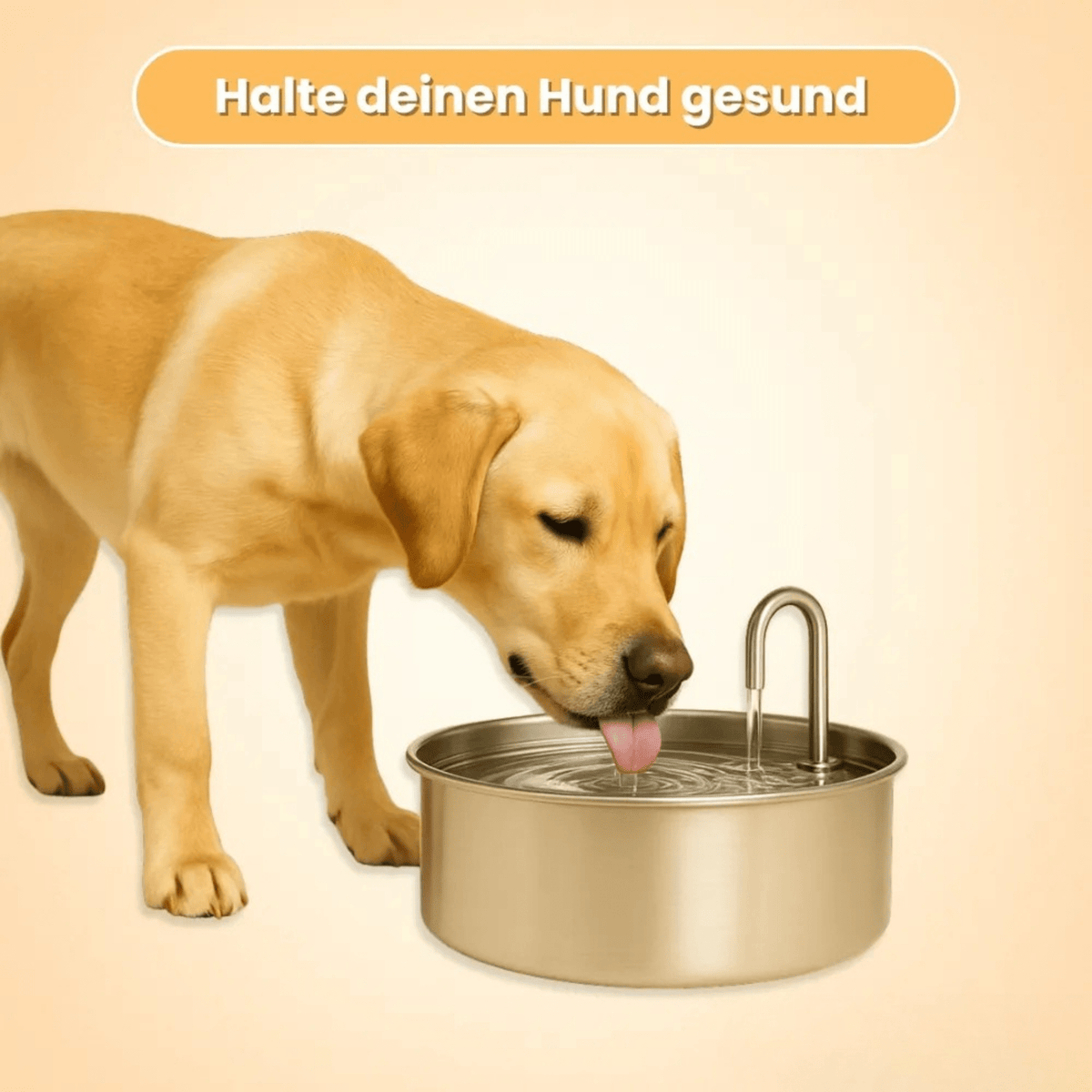 PfotenPlätscher™ / Der antibakterielle Trinkbrunnen mit Filtration - Sopheria
