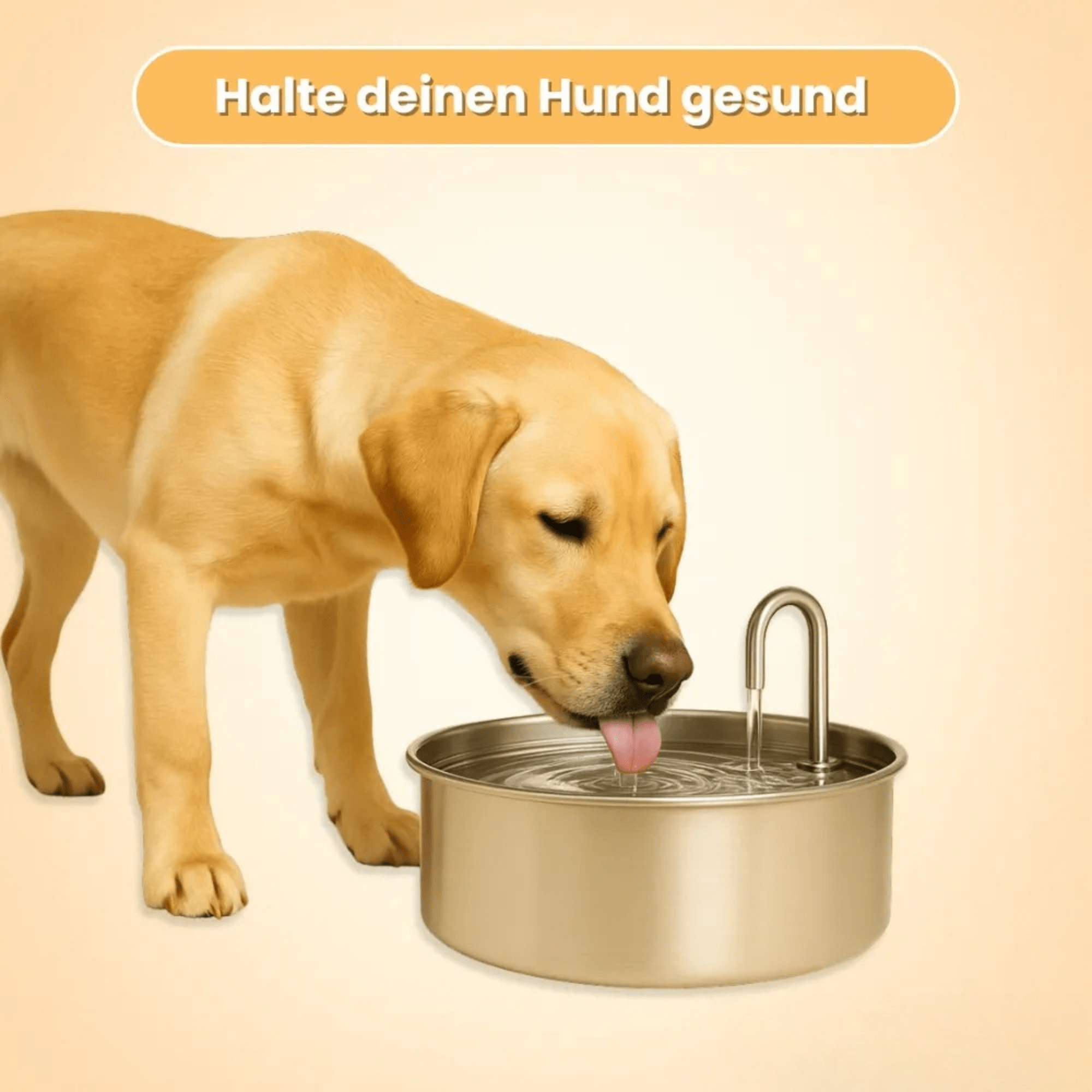 PfotenPlätscher™ / Der antibakterielle Trinkbrunnen mit Filtration - Sopheria