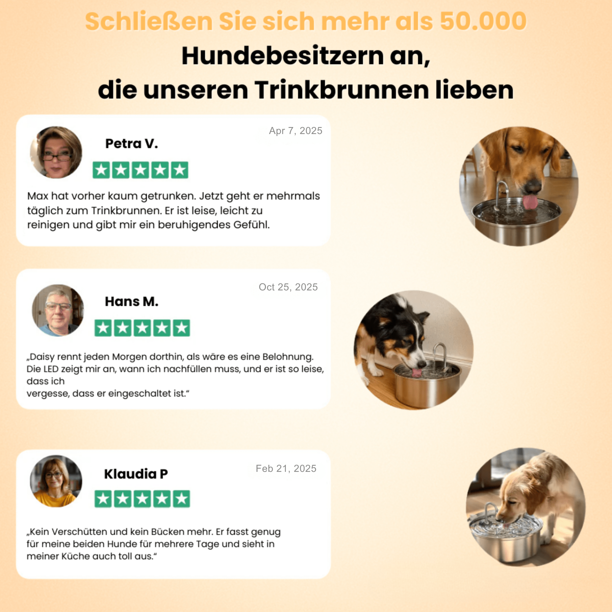 PfotenPlätscher™ / Der antibakterielle Trinkbrunnen mit Filtration - Sopheria