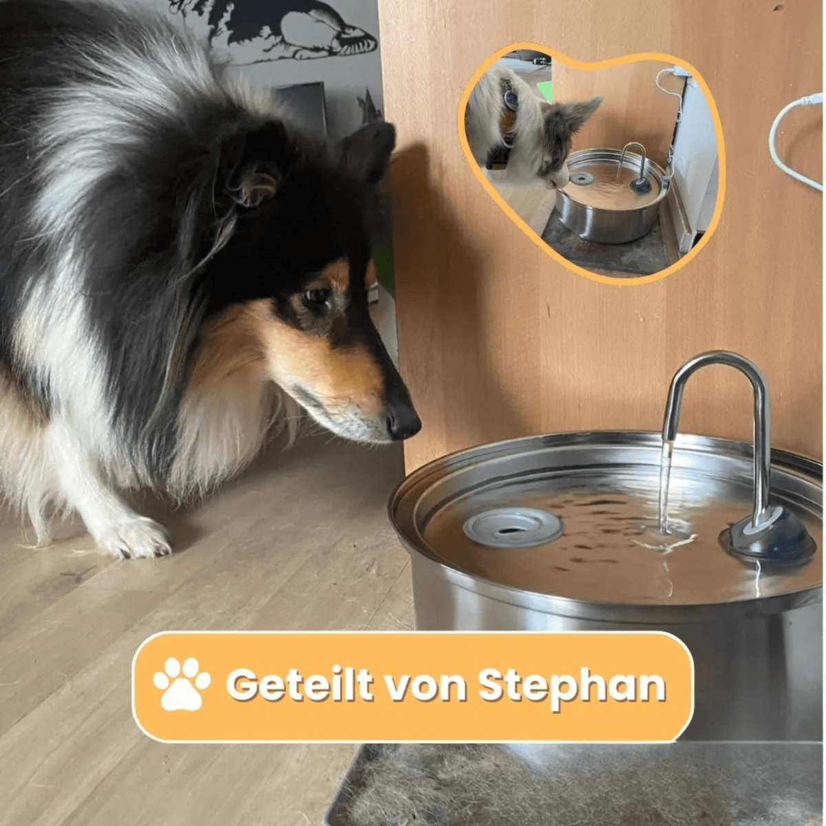 PfotenPlätscher™ / Der antibakterielle Trinkbrunnen mit Filtration - Sopheria