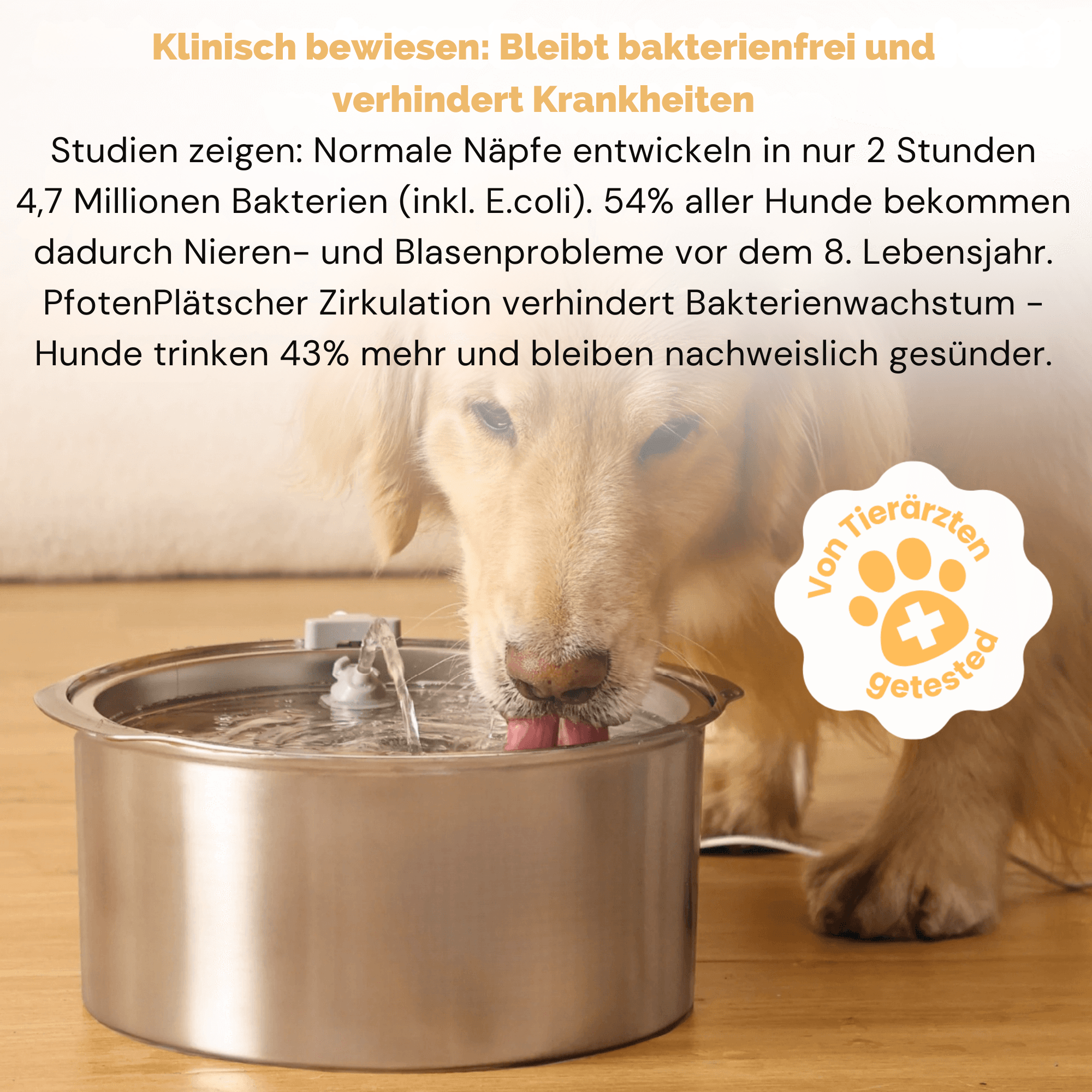 PfotenPlätscher™ / Der antibakterielle Trinkbrunnen mit Filtration - Sopheria