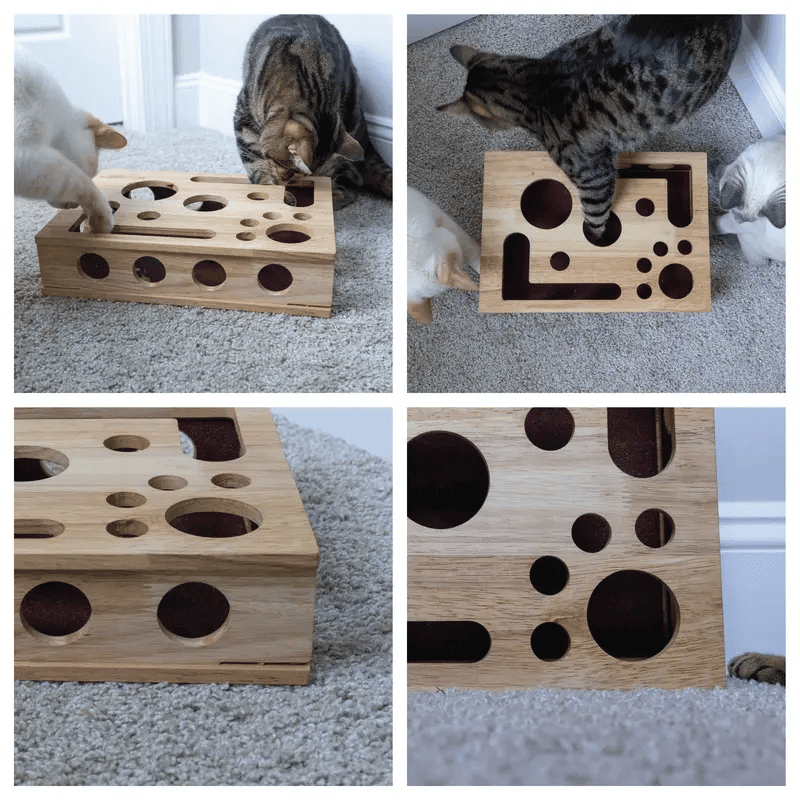 PfotenPuzzle – Kratz & Spielbox für Katzen - Sopheria