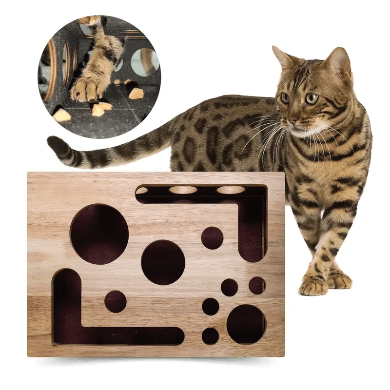 PfotenPuzzle – Kratz & Spielbox für Katzen - Sopheria