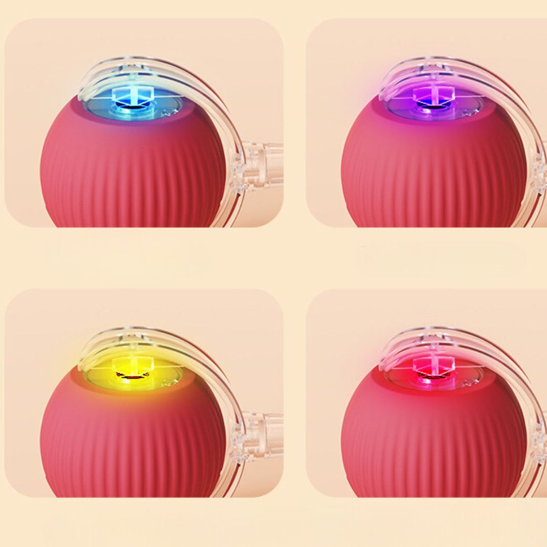 SpielSprint™ / Der Interaktive Spielball Für Glückliche Katzen! (1+1 GRATIS)