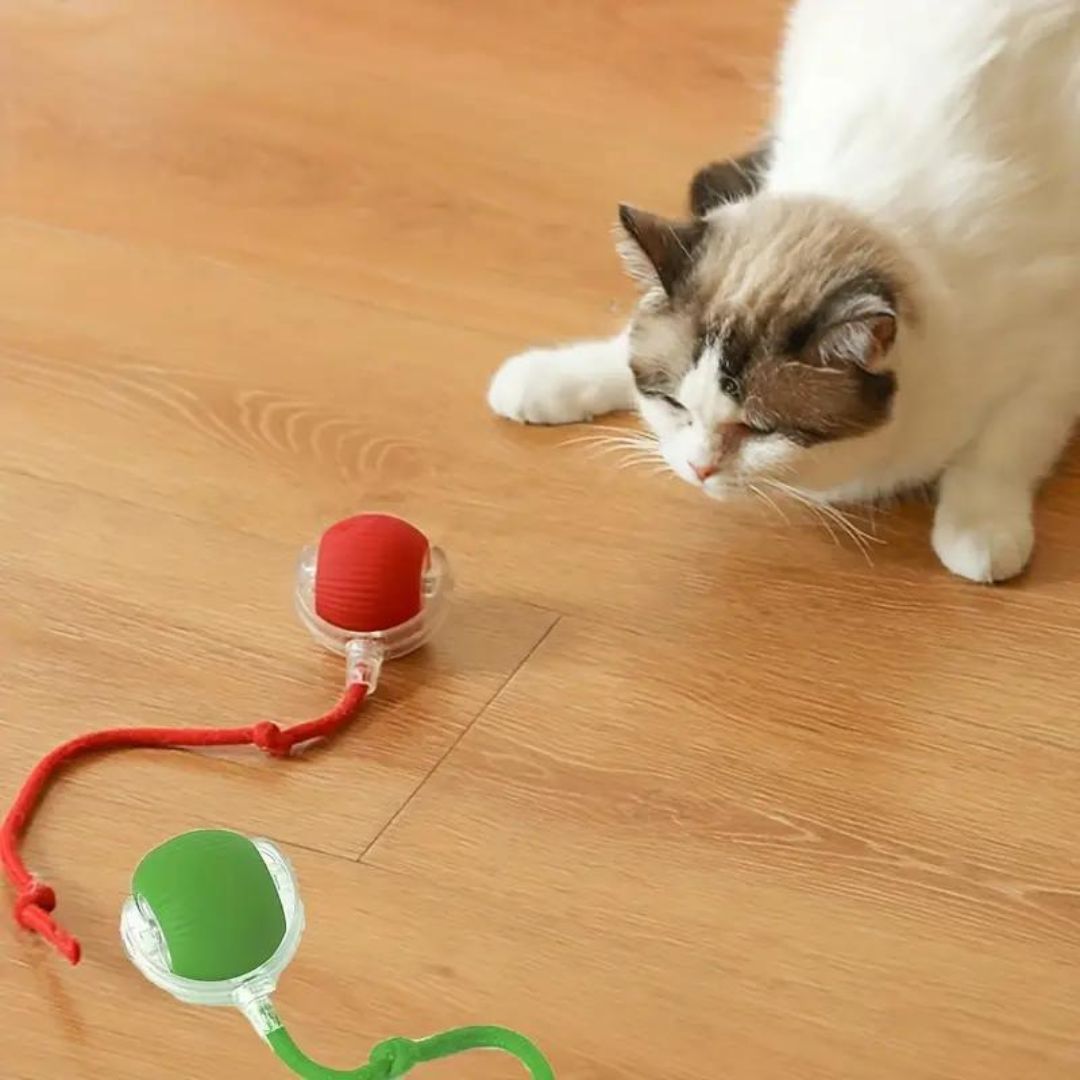 SpielSprint™ / Der Interaktive Spielball Für Glückliche Katzen! (1+1 GRATIS)