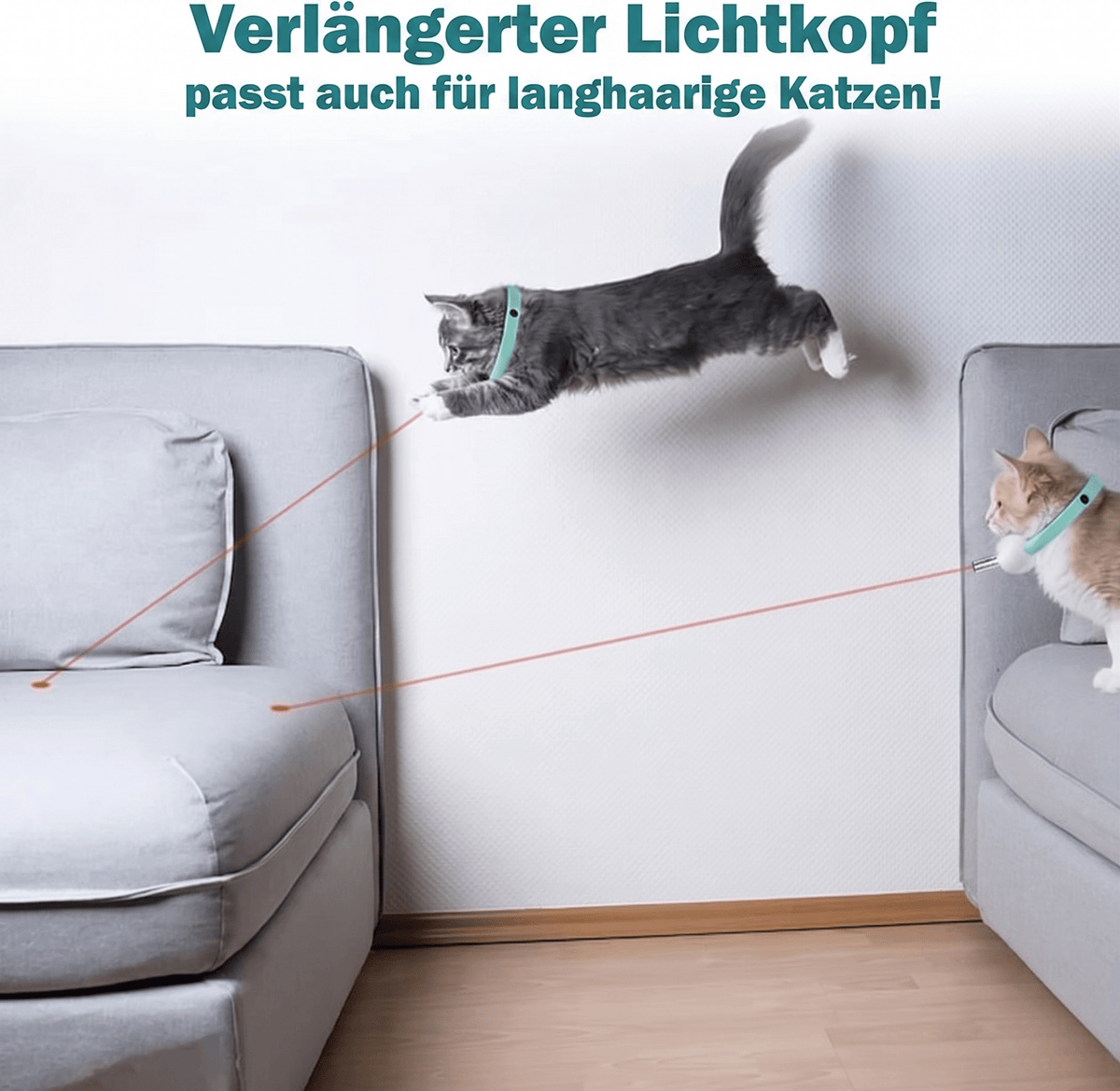 Purrnova - Interaktives Laser Halsband für aktive Katzen - Sopheria