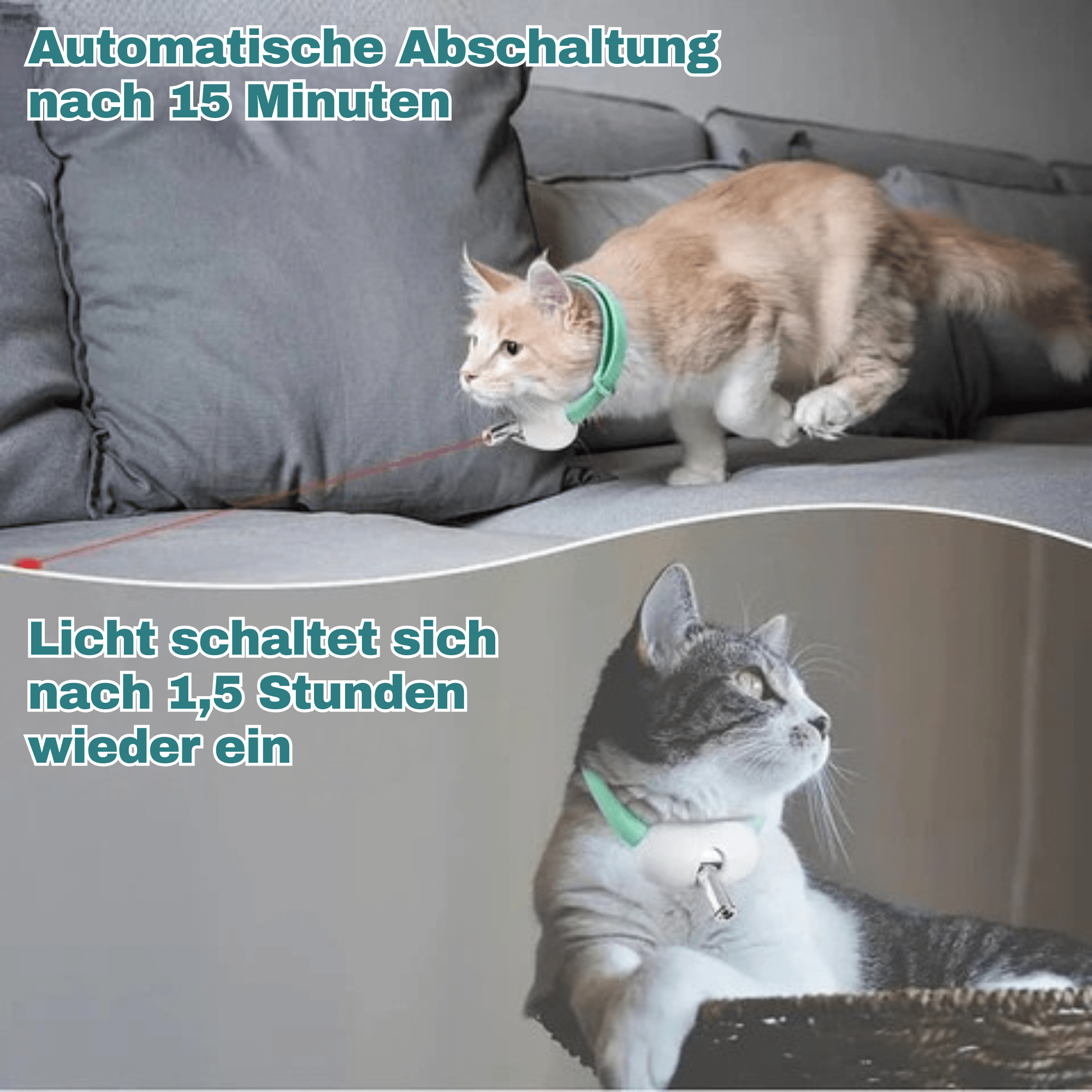 Purrnova - Interaktives Laser Halsband für aktive Katzen - Sopheria