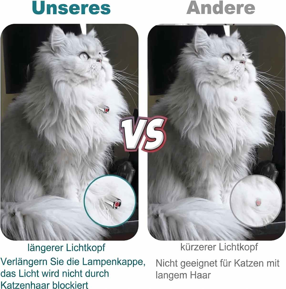 Purrnova - Interaktives Laser Halsband für aktive Katzen - Sopheria