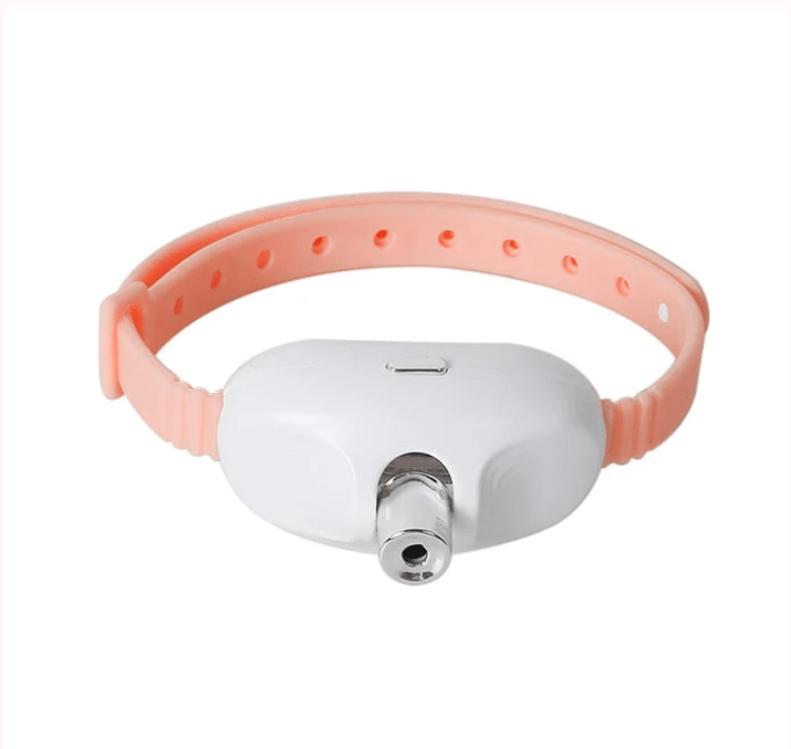 Purrnova - Interaktives Laser Halsband für aktive Katzen - Sopheria