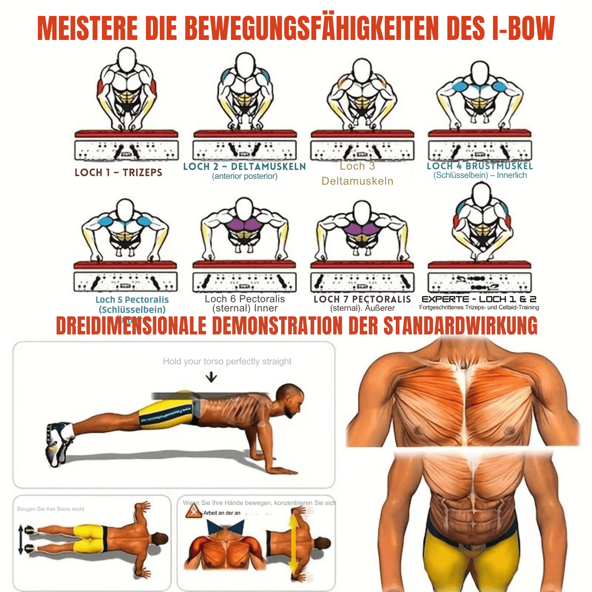 PushProfi™ / Faltbares Liegestützbrett: Ganzkörpertraining überall - Sopheria