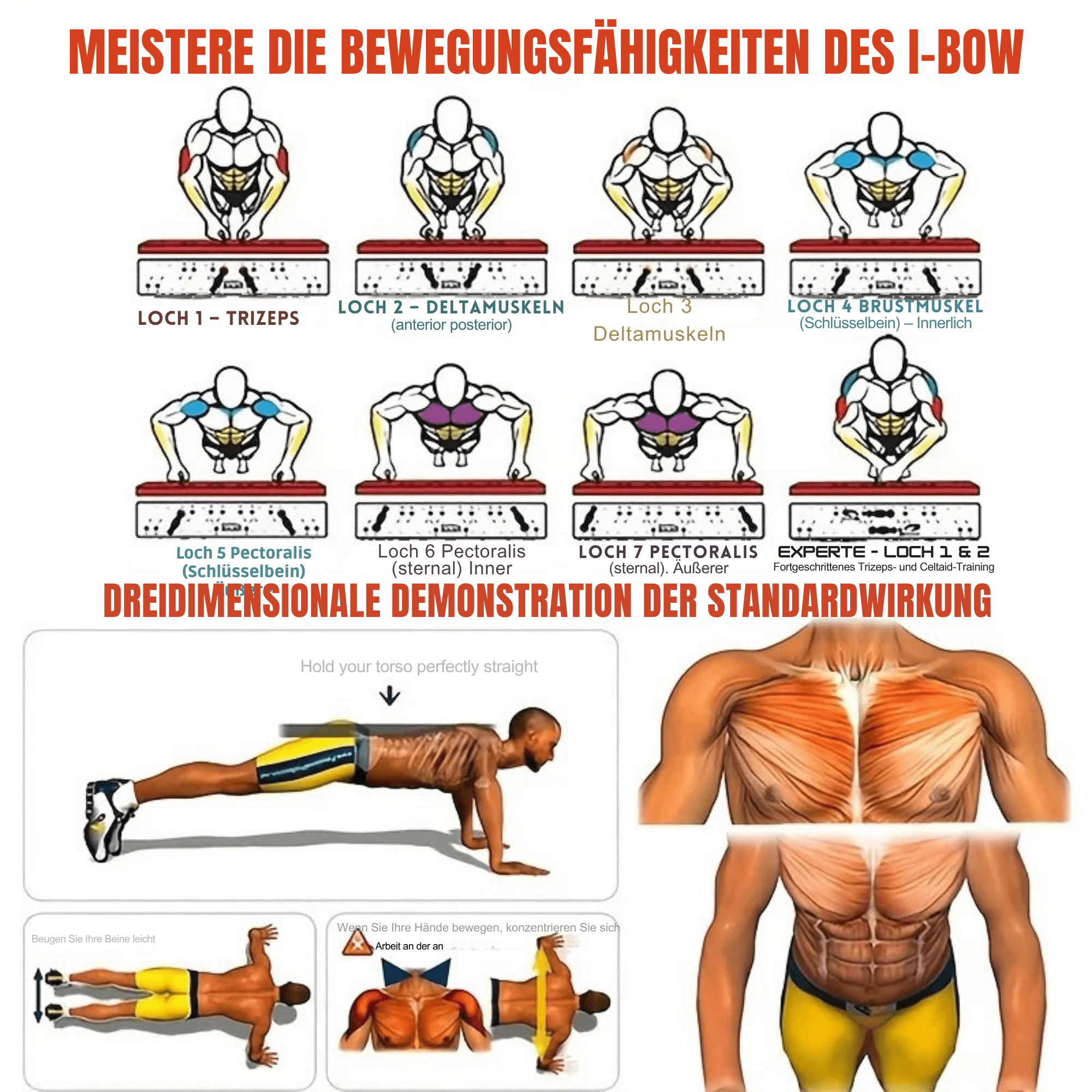 PushProfi™ / Faltbares Liegestützbrett: Ganzkörpertraining überall - Sopheria