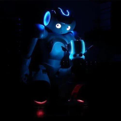 RoboRacker™ / Geburtstags- Und Weihnachtsgeschenk - Sopheria
