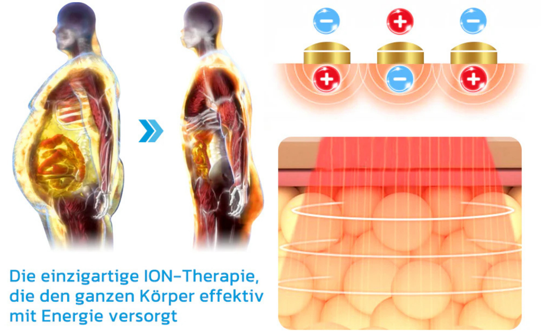 RückenRegel™ / Turmalin-Haltungs-Korrekturweste - Sopheria
